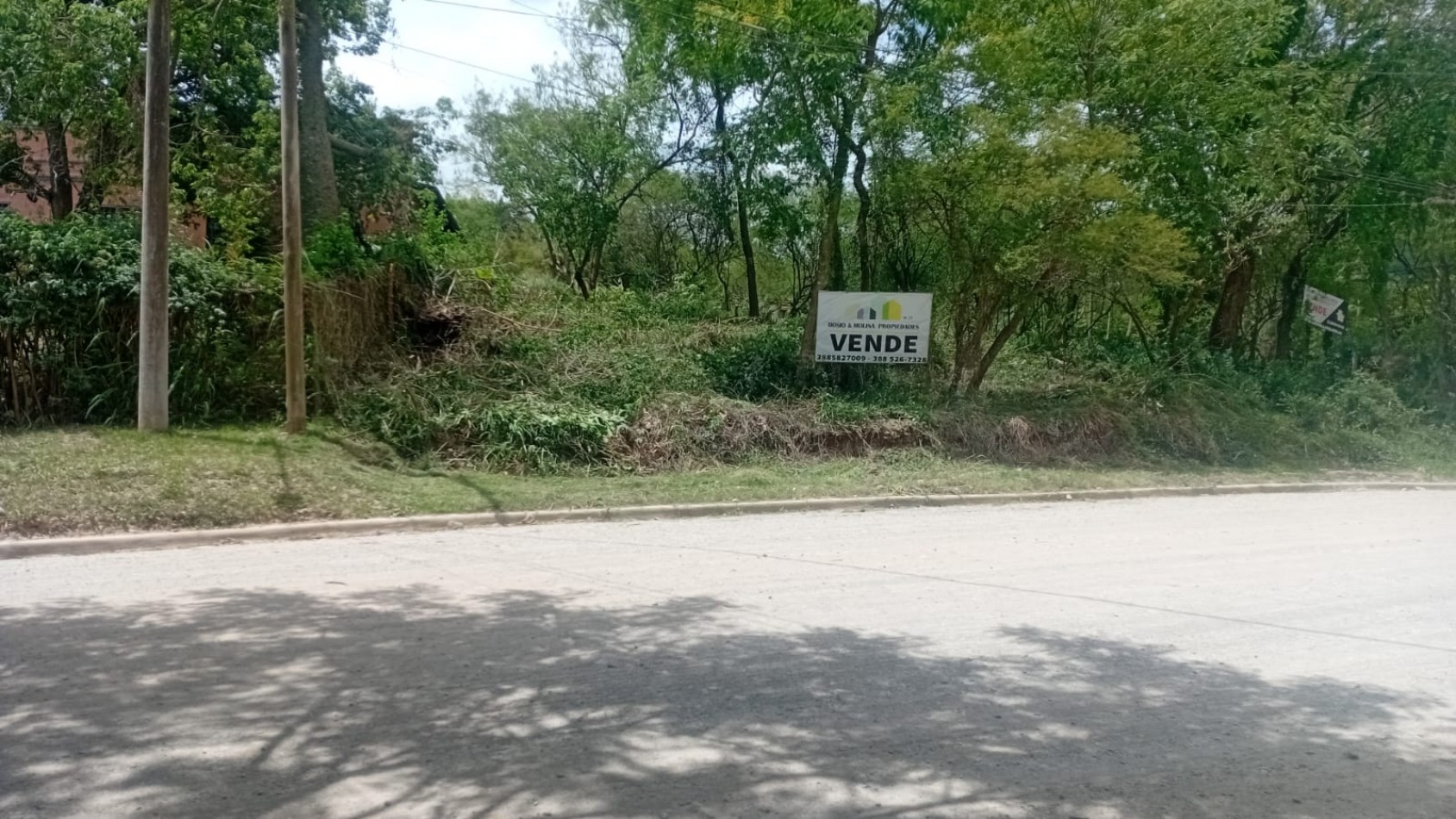 Hermoso Lote en Alto la Viña