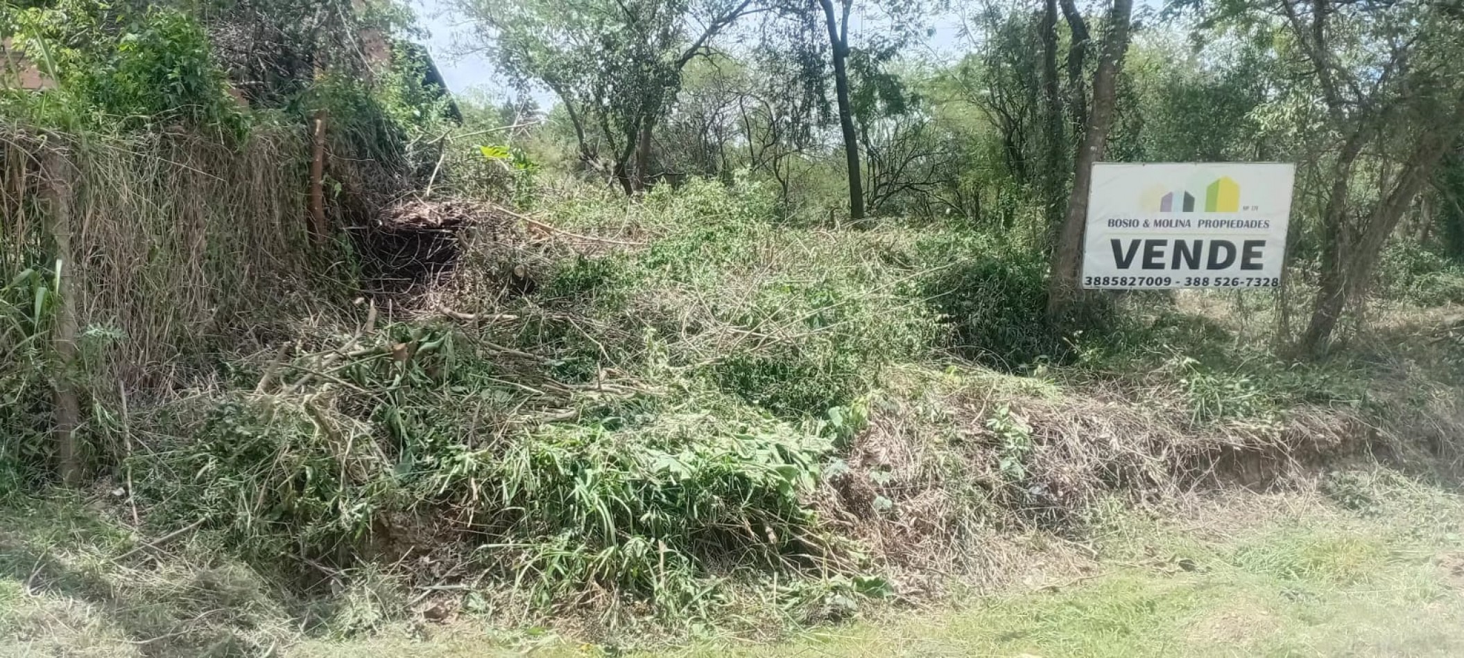 Hermoso Lote en Alto la Viña