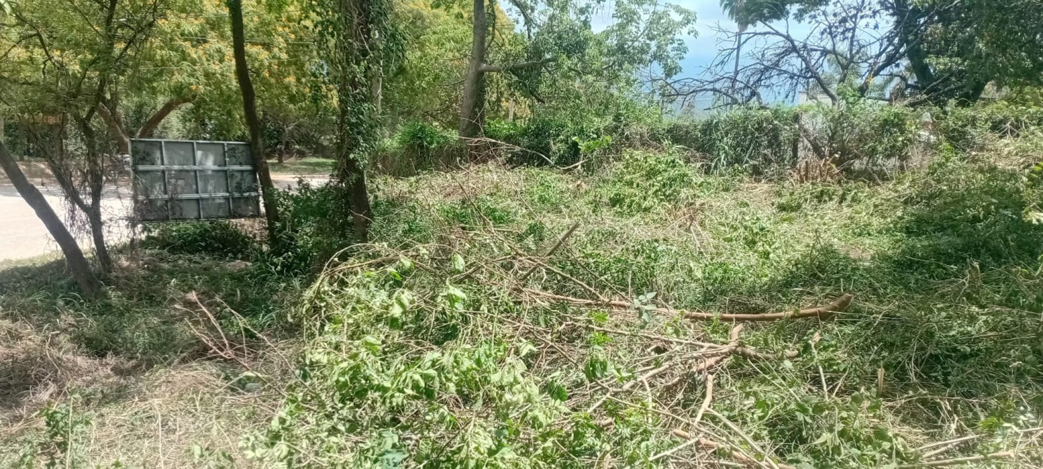 Hermoso Lote en Alto la Viña