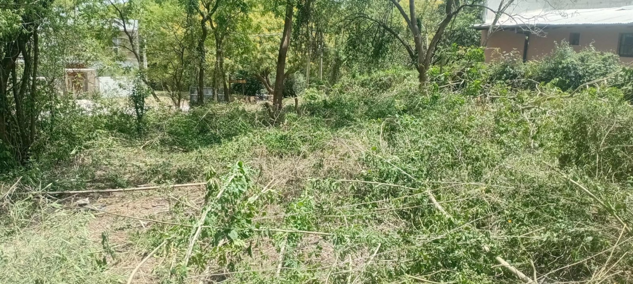 Hermoso Lote en Alto la Viña