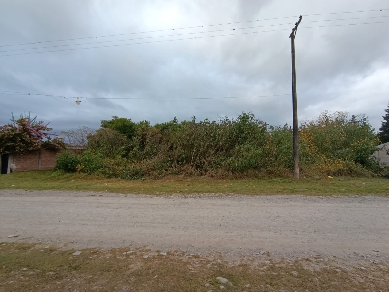 Tu proximo gran proyecto empieza aca: 2 Lotes Premium y contiguos en Los Molinos 